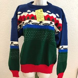 NEW Sweater Ski Chunky Oversized Pullover
